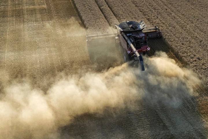 Ola de calor extremo en el continente europeo destruye toneladas de trigo y cebada, generando pérdidas millonarias
