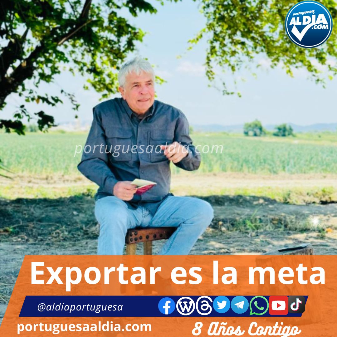 Exportar es la meta