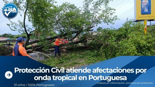 Despliegue técnico de los funcionarios de Protección Civil evaluando zonas de riesgo en el estado Portuguesa.