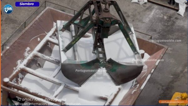 Portuguesa se prepara para el ciclo invierno 2026 con el arribo de 13 mil toneladas de urea