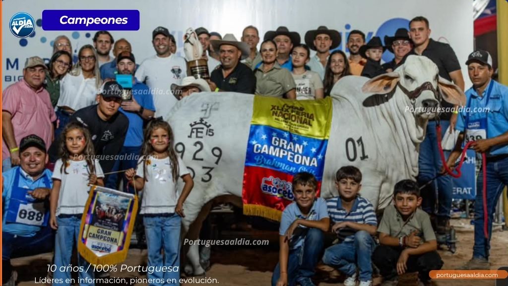 agrícola el esfuerzo de ospino