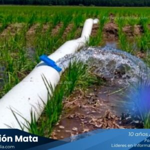 Producción Agrícola