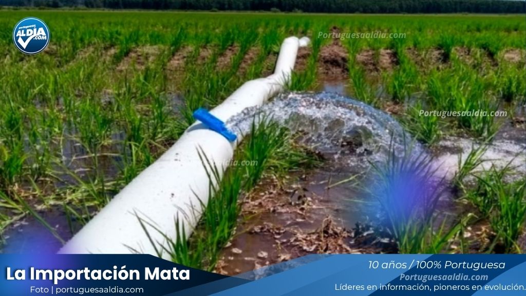 Producción Agrícola