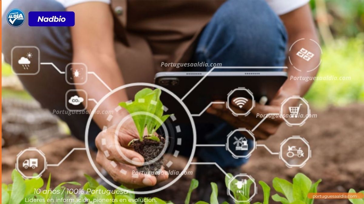 Cursos Online Nadbio: Nutrición, Costos y Ganadería Regenerativa