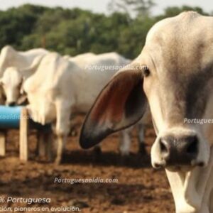 30 millones de hectáreas