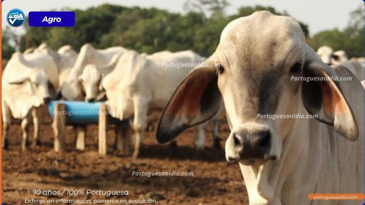30 millones de hectáreas