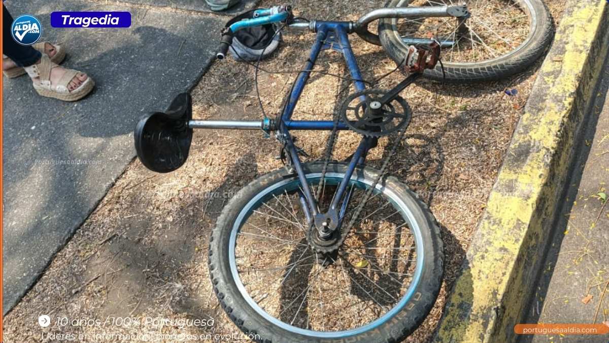 Hoy la tragedia embarga a una familia portugueseña