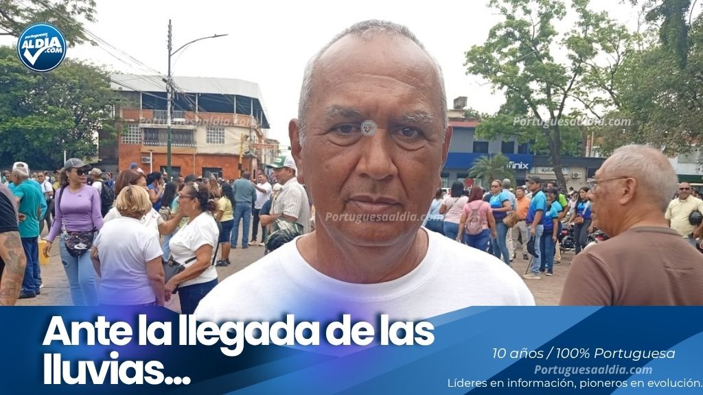 Colmenares