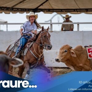 Team Penning