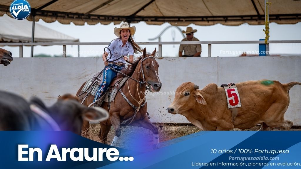 Team Penning