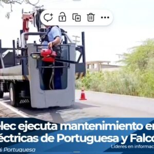 Cuadrillas de Corpoelec realizando desmalezamiento en redes eléctricas