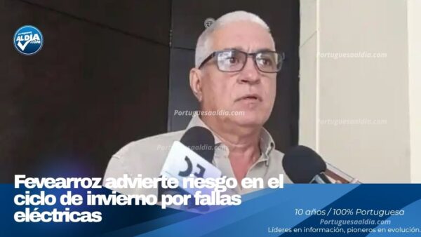 Siembra de arroz afectada en las tierras agrícolas de Portuguesa según reporte de Fevearroz.