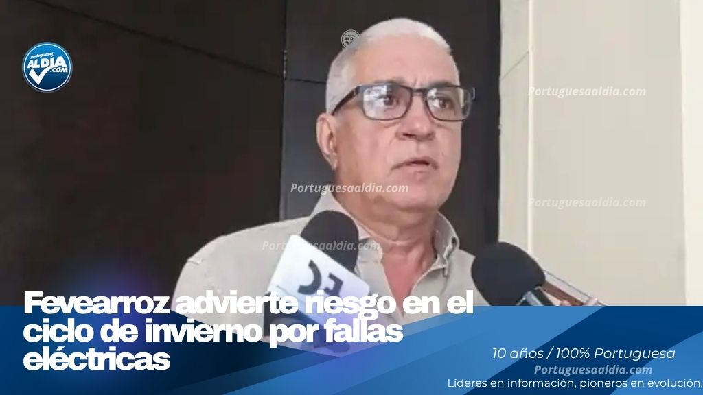 Siembra de arroz afectada en las tierras agrícolas de Portuguesa según reporte de Fevearroz.