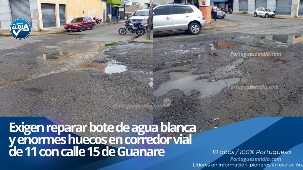 Deterioro de la capa asfáltica por filtraciones y baches viales que requieren la atención del gobernador Antonio Primitivo Cedeño en Guanare.