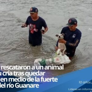 Coronel Luis Granados supervisa las operaciones del Instituto de Bomberos del estado Portuguesa. Canino