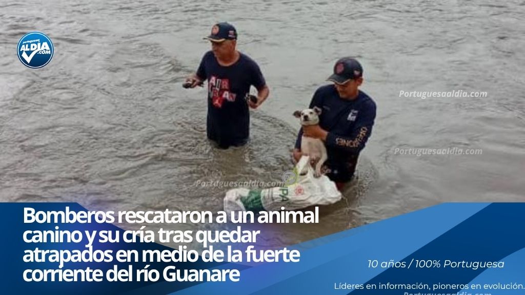 Coronel Luis Granados supervisa las operaciones del Instituto de Bomberos del estado Portuguesa. Canino