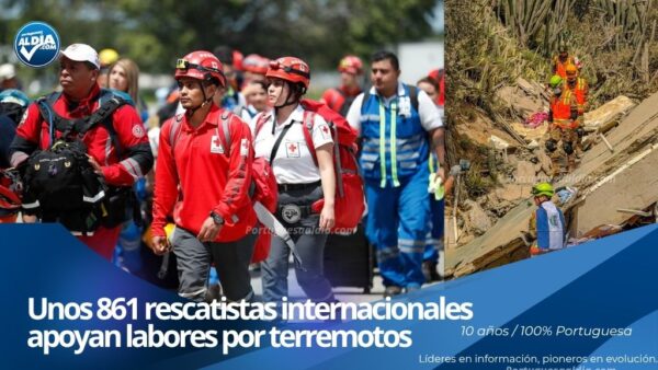 Brigadas internacionales de rescate y unidades caninas desplegadas tras el sismo.