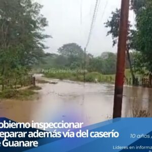 Guanare