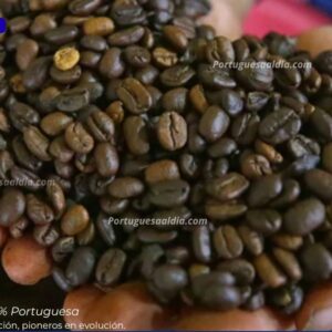 Infografía que resume los mercados principales del café de Venezuela, destacando a EE. UU. y Rusia como líderes en demanda.