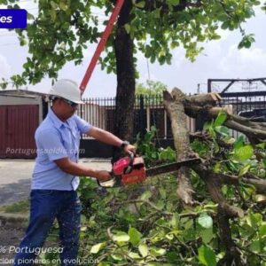 Corporación Eléctrica Nacional