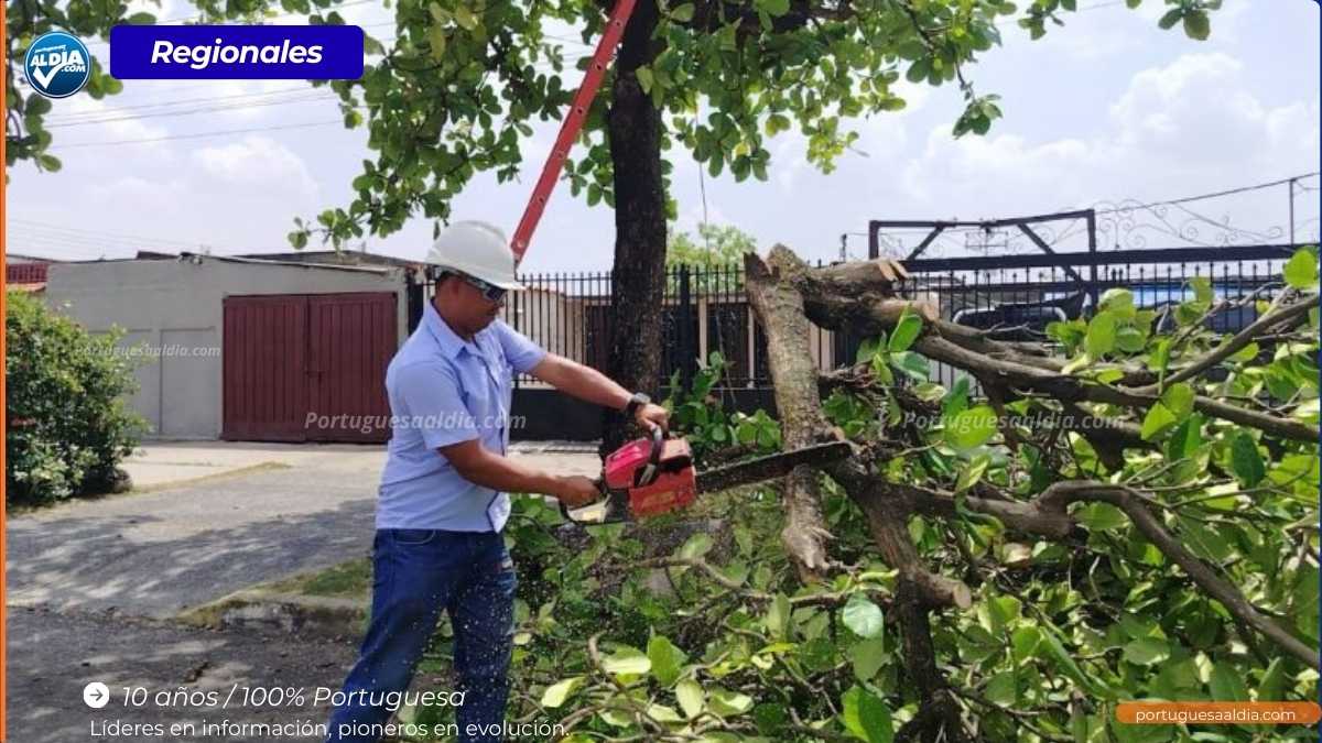 Corporación Eléctrica Nacional