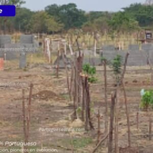 Invasiones Los Cedros Araure