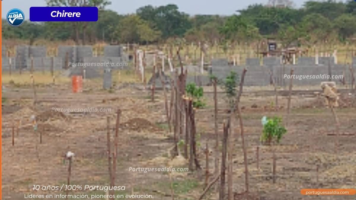 Invasiones Los Cedros Araure