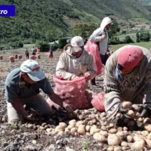 Productores denuncian contrabando y falta de créditos