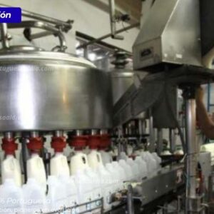 Elizabeth Hilb, presidenta de Aso Guanarito, destaca récord de 300 mil litros de leche diarios en Guanarito (Portuguesa).