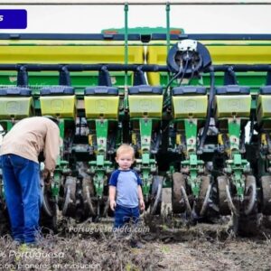 Productores de Portuguesa y Barinas inician ciclo de siembra de maíz tras primeras lluvias