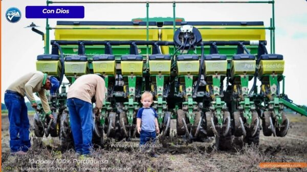 Productores de Portuguesa y Barinas inician ciclo de siembra de maíz tras primeras lluvias