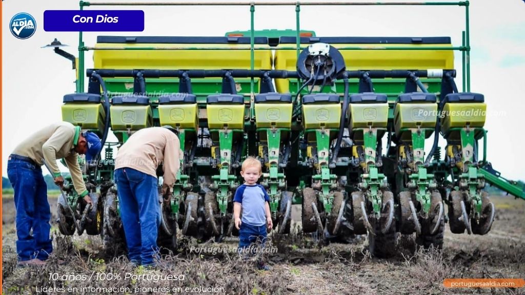 Productores de Portuguesa y Barinas inician ciclo de siembra de maíz tras primeras lluvias