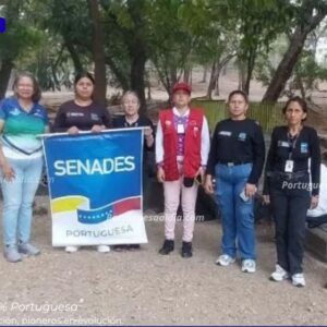Senades