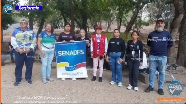 Senades