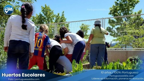 CNAE impulsa soberanía alimentaria con huertos escolares en Portuguesa