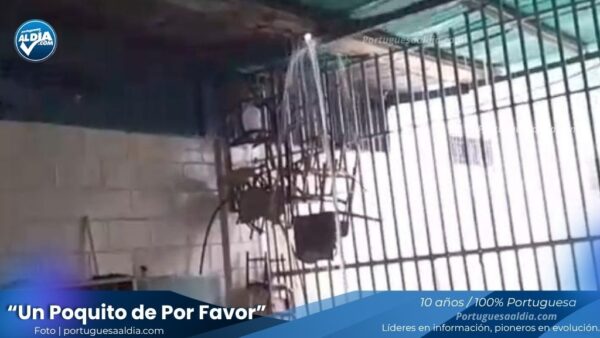 Escuela Amandio Márquez