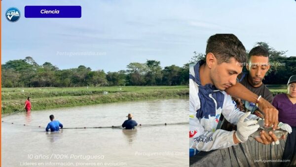 El CENIPA y la UNELLEZ Guanare avanzan en la producción sostenible de Coporo en la Estación Papelón, logrando desove y embriogénesis controlada.