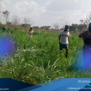 Denuncian invasiones en terrenos de Llano Lindo