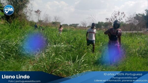 Denuncian invasiones en terrenos de Llano Lindo