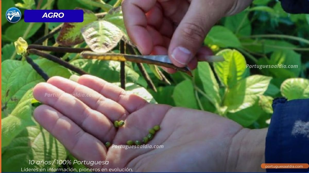 Motor Agroalimentario