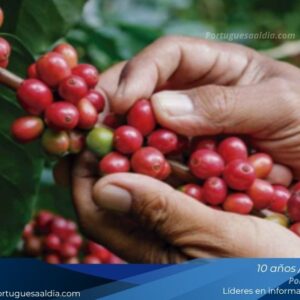Productor cafetalero en campo venezolano representa falta de financiamiento Fedeagro
