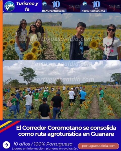 Paisaje natural de los Girasoles Coromotanos en la vía al Santuario Nacional