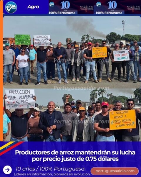 productores de arroz
